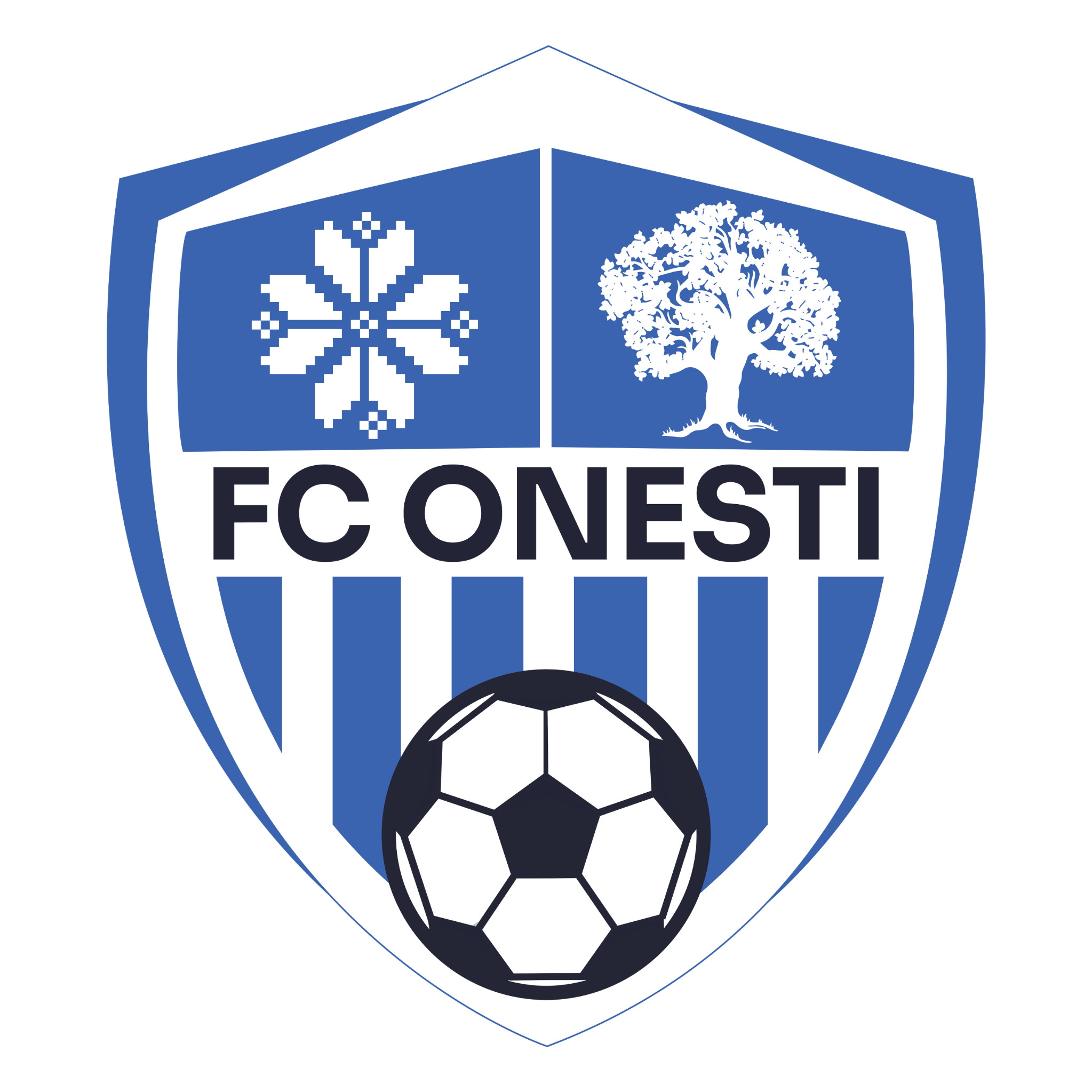 Sigla oficială FC ONESTI